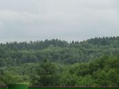 Нина Денисова фотография #5 (источник - https://vk.com/id4351324)