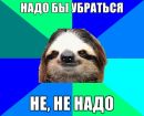 Фотография Тарасовой Анны
