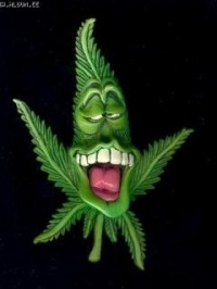 №18, Павел Романов, 27 лет, Ревда №18, Павел Романов, 27 лет, Ревда