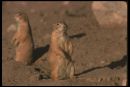 Джекі Чан фотография #39 (источник - https://vk.com/id169747461)
