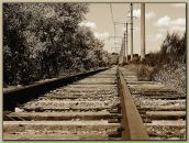 Фотография Чесновой Марии