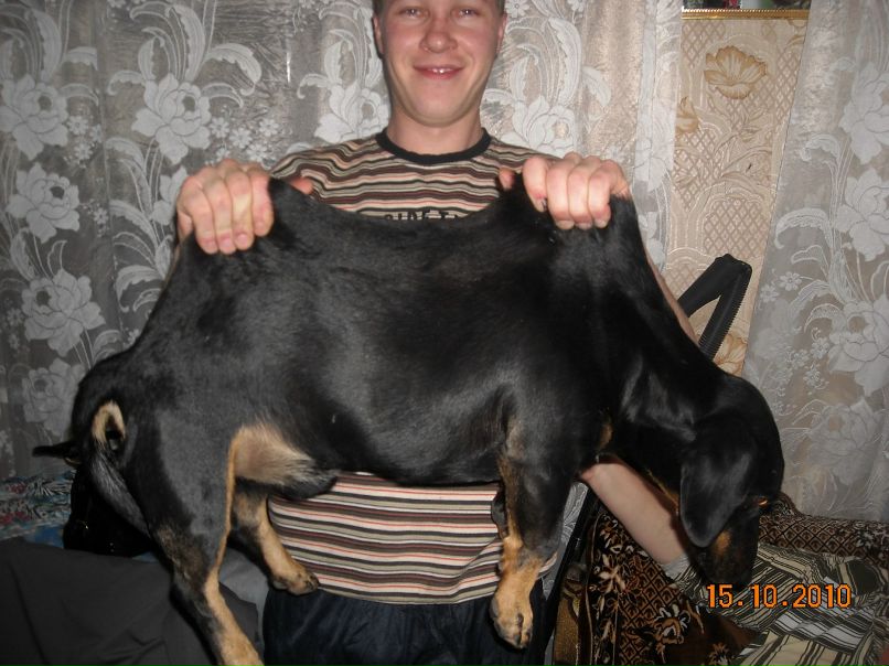 Александр Евсееев фотография #18