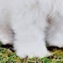 Леся Андреєва фотография #19 (источник - https://vk.com/id142723263)