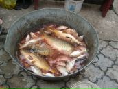 Міша Motsa фотография #32 (источник - https://vk.com/id52852421)