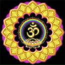 Дмитрий Савельев фотография #15 (источник - https://vk.com/id4861488)