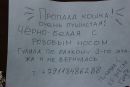 Фотография Фридман Фаины