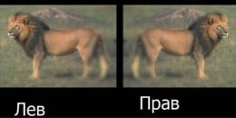 Сергій Тараненко фотография #23 (источник - https://vk.com/id78389792)