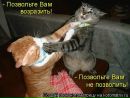 Міра Ставнича фотография #19 (источник - https://vk.com/id6229248)