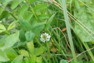 Андрій Світлицький фотография #15 (источник - https://vk.com/id2321783)