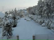 Галина Пугачова (Рогів) фотография #18 (источник - https://vk.com/id24688221)