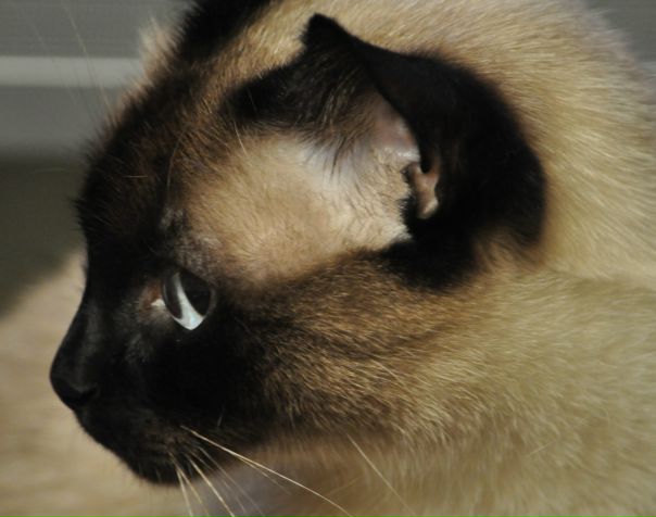 Дмитрий Коваленко фото №41