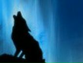 Іван Трейтяк фотография #18 (источник - https://vk.com/id35997607)