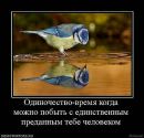 Тимофій Шустов фотография #48 (источник - https://vk.com/id168569788)