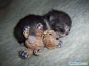 Фотография Чистяковой Эльмиры