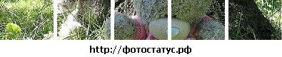 Ірчик Петрів фотография #45 (источник - https://vk.com/id95492279)