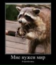 Фотография Рыженкова Павла