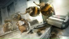 Фотография Полякова Романа