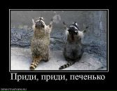 Фотография Цукерман Екатерины