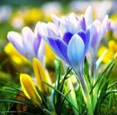 Наталія Артемук фотография #7 (источник - https://vk.com/id162990981)