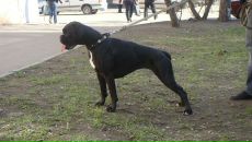 Фотография Власовой Марины