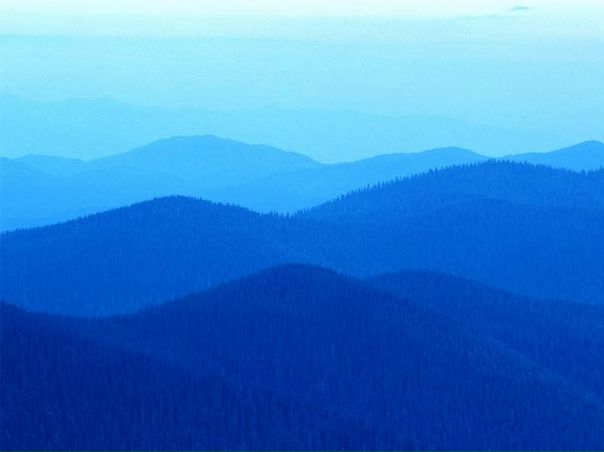 Ден )))) фото №1