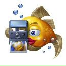 Дмитрий Бикбаев фотография #28 (источник - https://vk.com/id98624319)