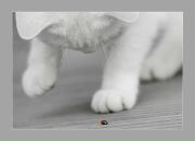 Іра Ражик фотография #6 (источник - https://vk.com/id135391415)