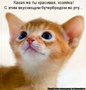 Фотография Волковой Алёны