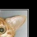 Ірина Пасічник фотография #34 (источник - https://vk.com/id89136098)