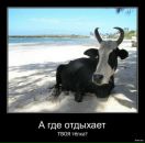 Фотография Ахмадеевой Регины