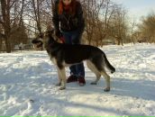 Фотография Бузлановой Виктории