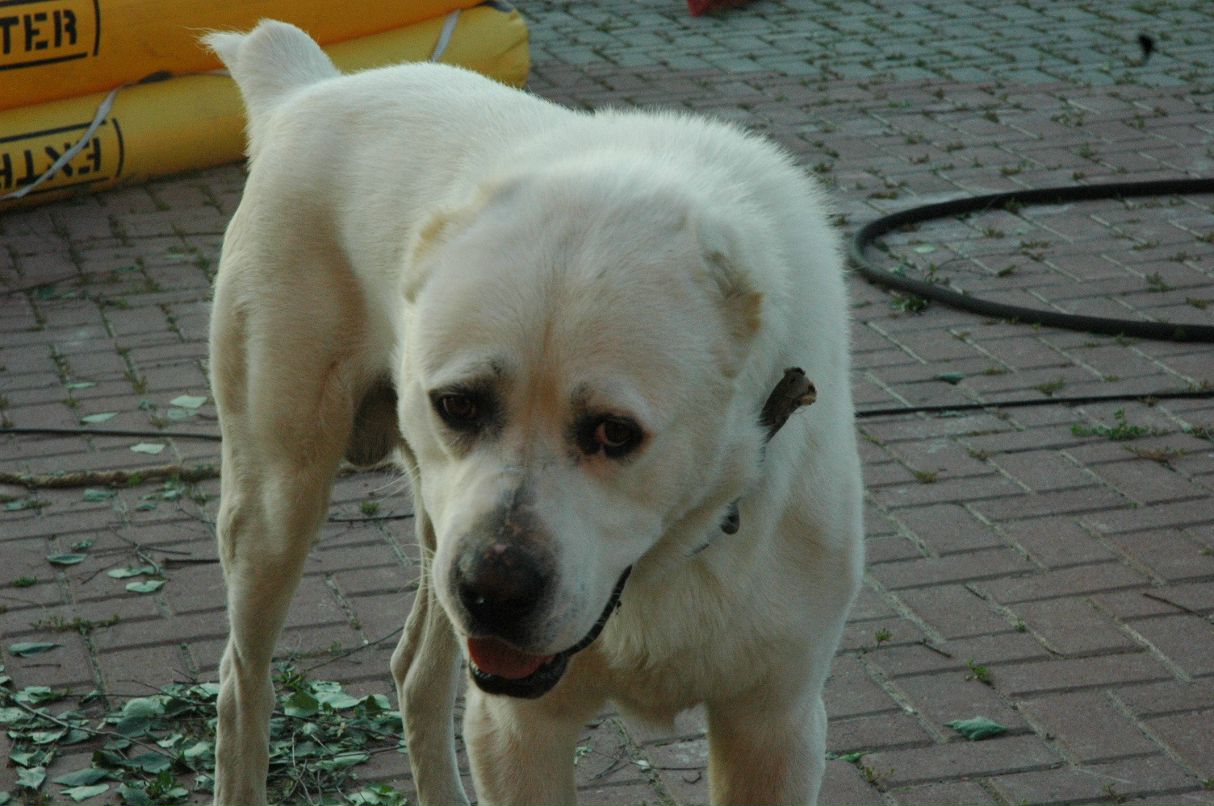 Anna Berman фотография #42