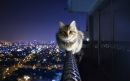 Фотография Черкасской Юлии