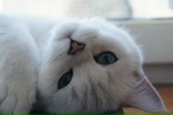 Фотография Ремпе Татьяны