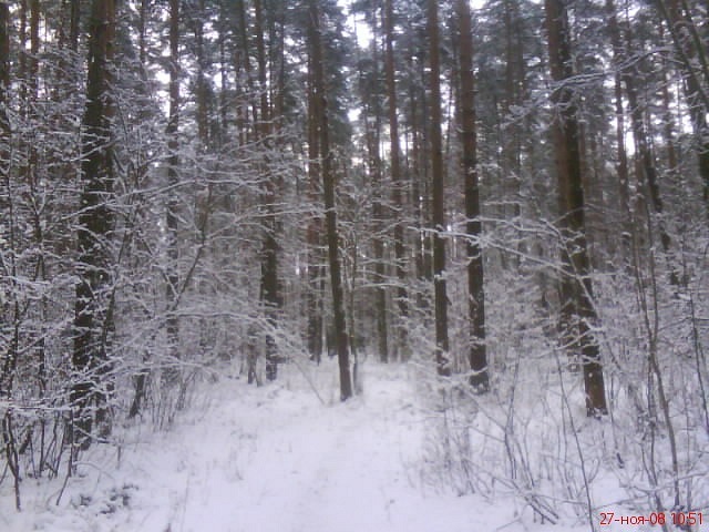 Егор Орлов фотография #27