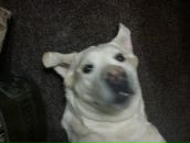 Фотография Мекишева Константина