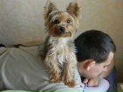 Вован Sid фотография #28 (источник - https://vk.com/id489035)
