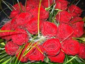 Фотография Бирюковой Елены