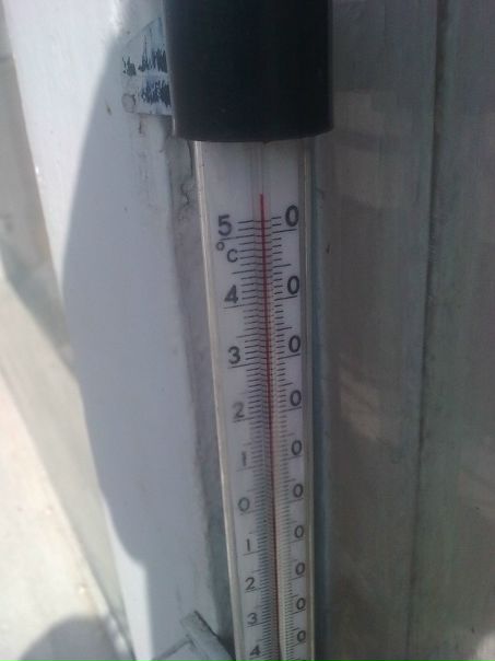 Дима Малышев фото №21