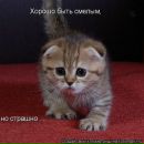 Фотография Гусева Виталия