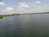 Андрей Гомзин фотография #38 (источник - https://vk.com/id22444857)