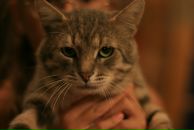 Slash Dot фотография #45 (источник - https://vk.com/id614985)