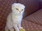 Фотография Андреичевой Александры