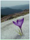 Фотография Клековкиной Александры