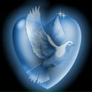 Ігор Бас фотография #6 (источник - https://vk.com/id117784730)