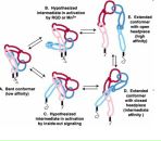 Олька Симонова фотография #8 (источник - https://vk.com/id4461837)