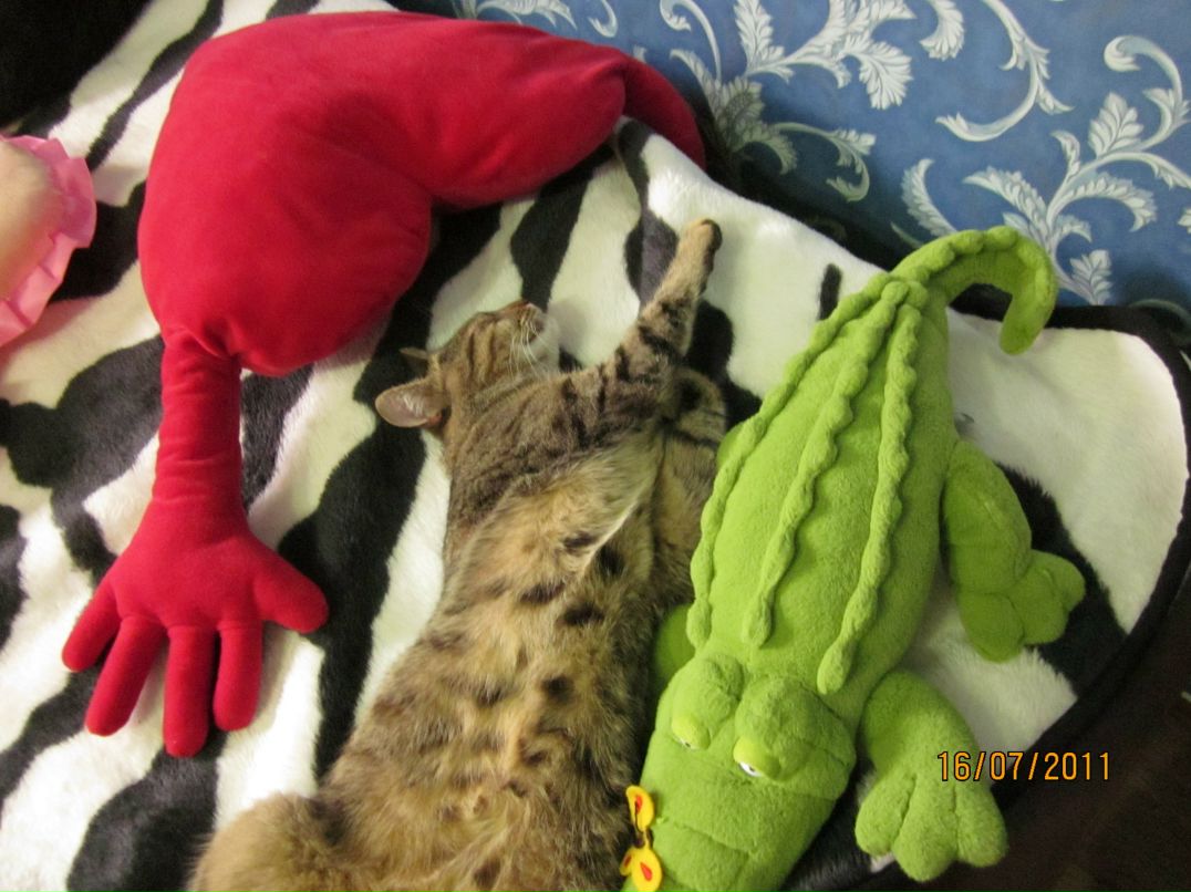 Сергей Сергеевич фотография #31