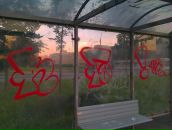 Видимо Дааа фотография #3 (источник - https://vk.com/id1476555)