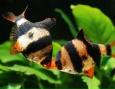 Фотография Мардашовой Ксении