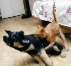 Лена :) фотография #25 (источник - https://vk.com/id8977513)